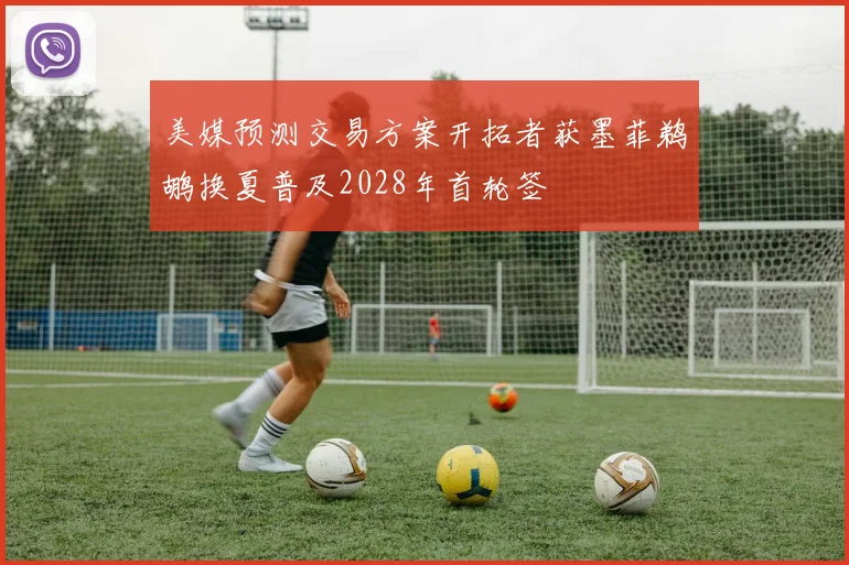 美媒预测交易方案开拓者获墨菲鹈鹕换夏普及2028年首轮签