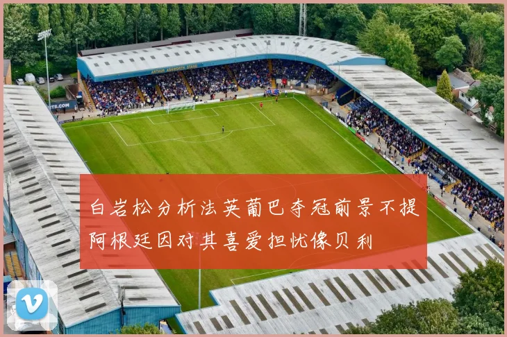 白岩松分析法英葡巴夺冠前景不提阿根廷因对其喜爱担忧像贝利